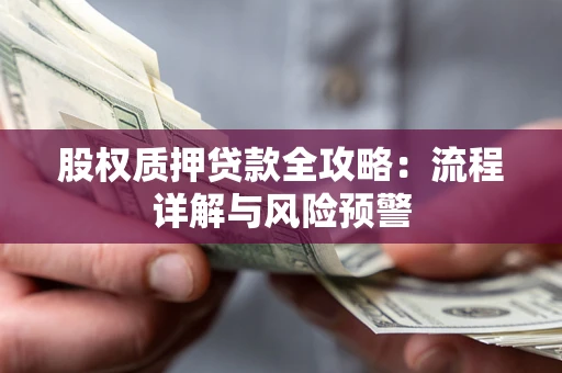 北京股权质押贷款全攻略：流程详解与风险预警