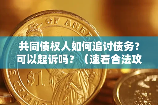 北京共同债权人如何追讨债务？可以起诉吗？（速看合法攻略）